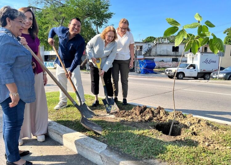 Inicia Ecología Municipal amplia ‘Campaña de Arborización’ en Tampico