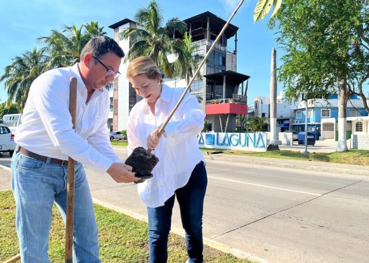 Inicia Ecología Municipal amplia ‘Campaña de Arborización’ en Tampico