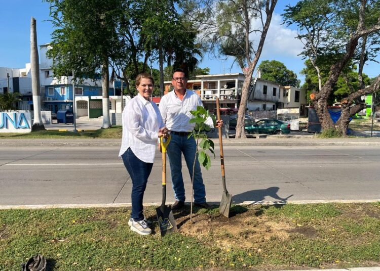 Inicia Ecología Municipal amplia ‘Campaña de Arborización’ en Tampico
