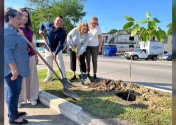 Inicia Ecología Municipal amplia ‘Campaña de Arborización’ en Tampico