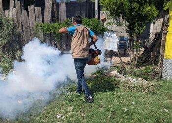 Mantiene SST acciones contra el dengue
