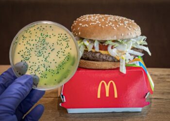 Vinculan hamburguesas de McDonald’s con brote de E. coli