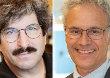 A descubrimiento del microARN, Nobel de Medicina en 2024