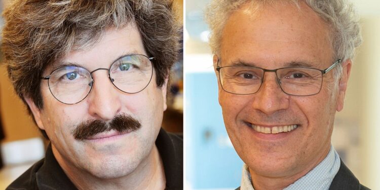 A descubrimiento del microARN, Nobel de Medicina en 2024