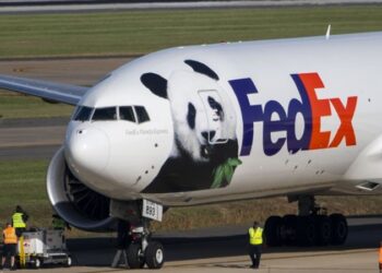 Dos pandas gigantes llegaron al Zoo de Washington D.C.