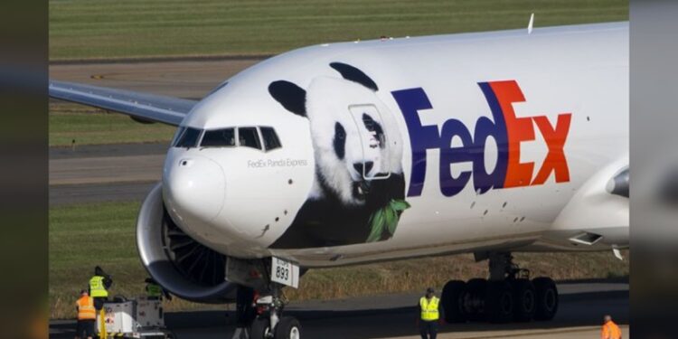 Dos pandas gigantes llegaron al Zoo de Washington D.C.