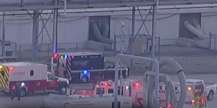 Se registra fuga de sulfuro de hidrógeno en Deer Park