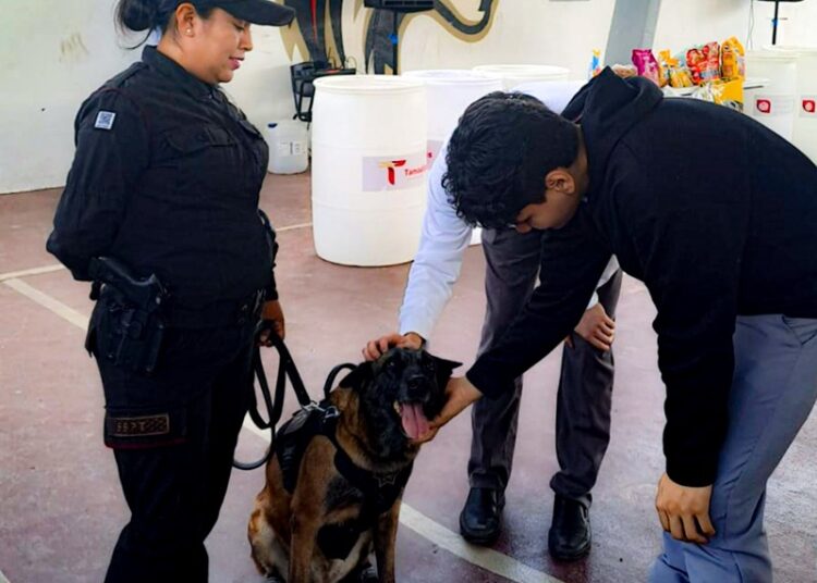 Fomentan valores de respeto animal y educación ambiental en el CBTis 24