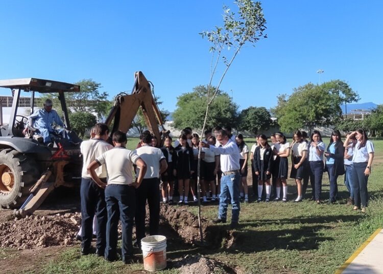 Fortalecen SEDUMA y PAUT áreas verdes en municipios