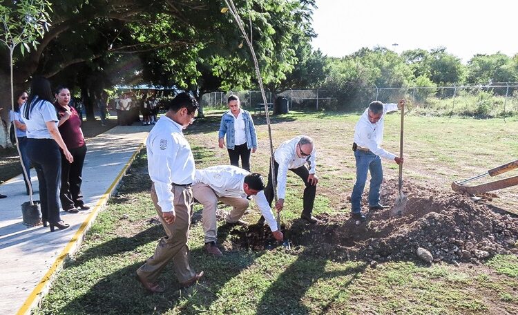 Fortalecen SEDUMA y PAUT áreas verdes en municipios