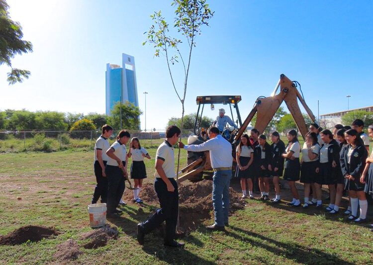 Fortalecen SEDUMA y PAUT áreas verdes en municipios
