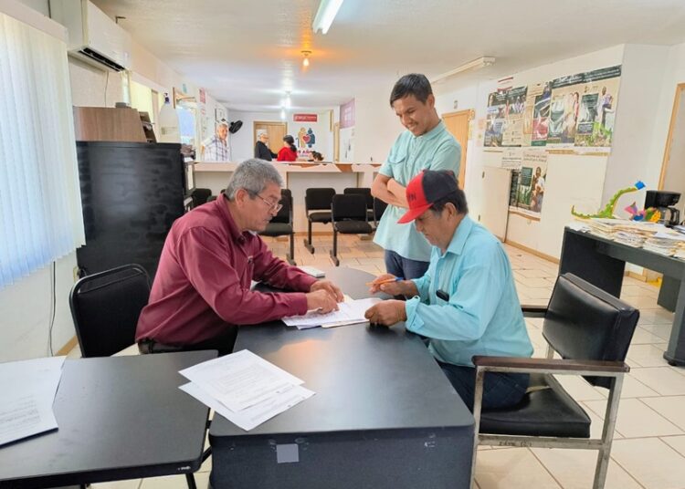 Amplían ventanillas para apoyo de sorgo, trigo y diésel