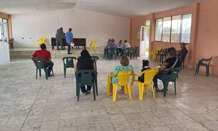 Amplían ventanillas para apoyo de sorgo, trigo y diésel