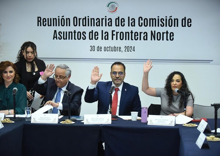 “Senado realizará audiencias públicas en Estados fronterizos”: Olga