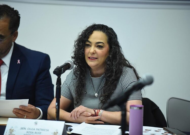 “Senado realizará audiencias públicas en Estados fronterizos”: Olga