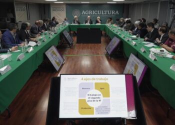 Tamaulipas presente en la reunión de la AMSDA