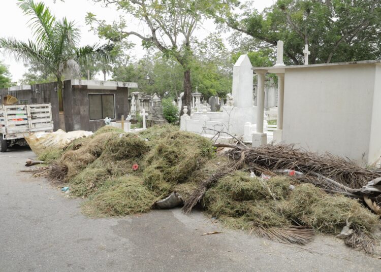 Mónica encabeza jornada de limpieza en el panteon
