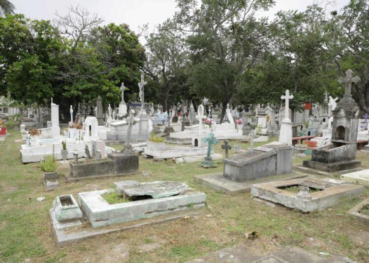 Mónica encabeza jornada de limpieza en el panteon