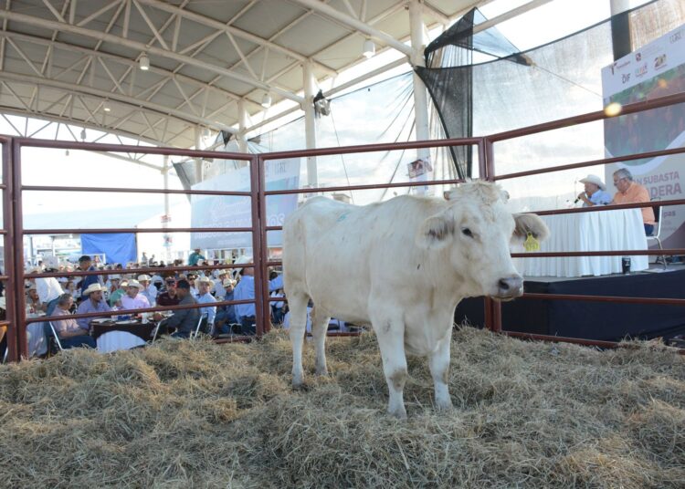 Reconocen ganaderos apoyo del gobernador AVA