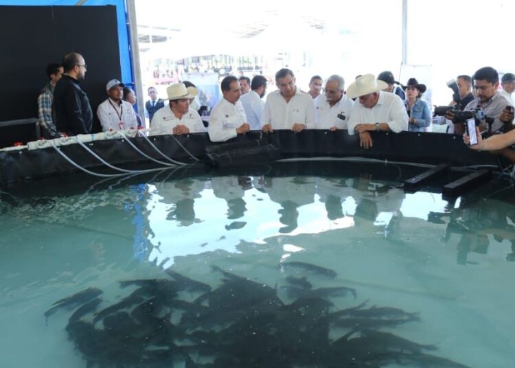 Reconocen ganaderos apoyo del gobernador AVA