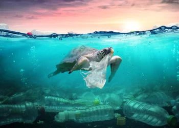 ¿Desaparecerán los océanos por el cambio climático?