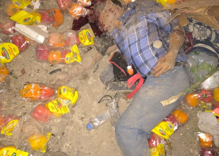 Se accidenta trailer en la Monterrey-Nuevo Laredo