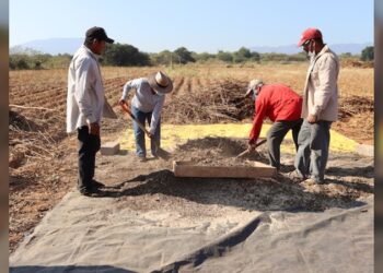 Analizan la fertilidad de suelos agrícolas de Tamaulipas