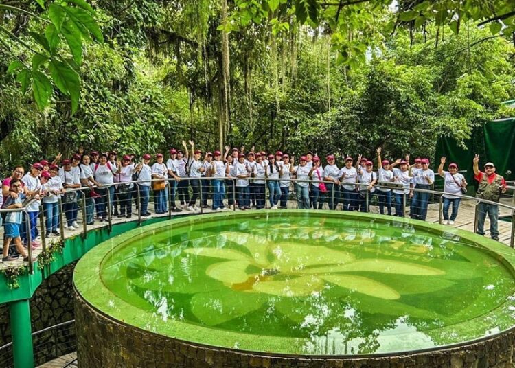 Disfrutan más de 800 personas ‘Turismo Social’ de Sectur y DIF Tamaulipas