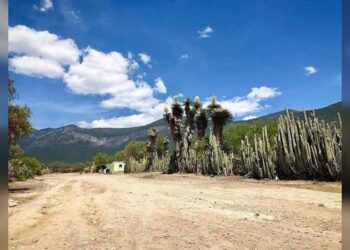 Ejido de Miquihuana registró la temperatura más baja en Tamaulipas