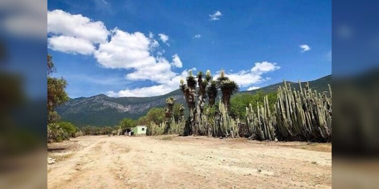 Ejido de Miquihuana registró la temperatura más baja en Tamaulipas