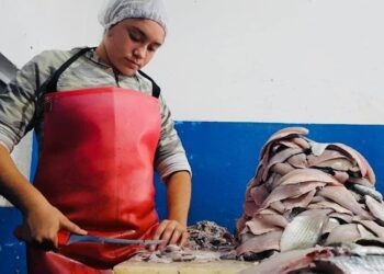 En diciembre, iniciará veda para pescadores en la Laguna Madre de Tamaulipas