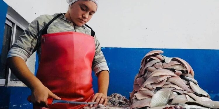 En diciembre, iniciará veda para pescadores en la Laguna Madre de Tamaulipas