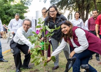 Hacen alianza SET y SEDUMA en pro del medioambiente