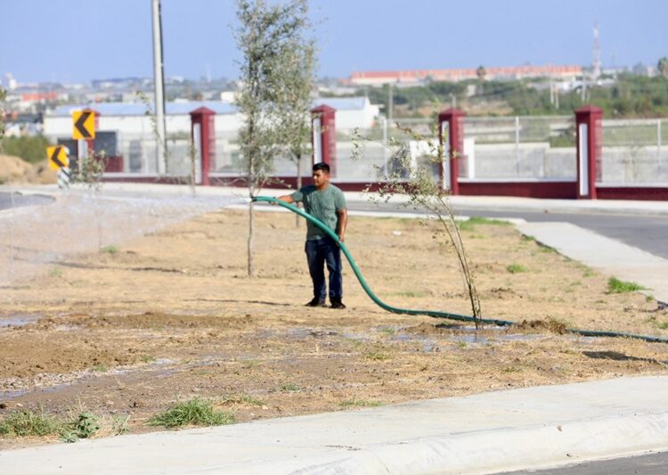 Inicia Gobierno de NLD forestación en nueva ‘Prepa UAT’