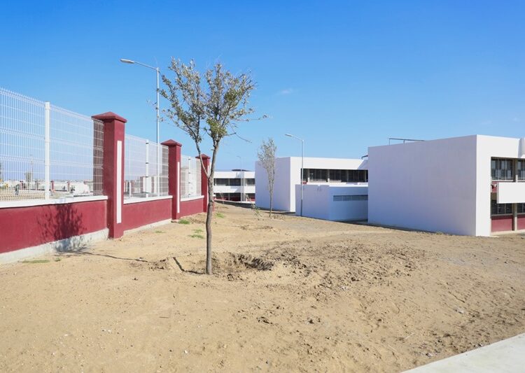 Inicia Gobierno de NLD forestación en nueva ‘Prepa UAT’