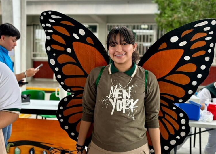 Invita NLD a promover la conservación de la Monarca