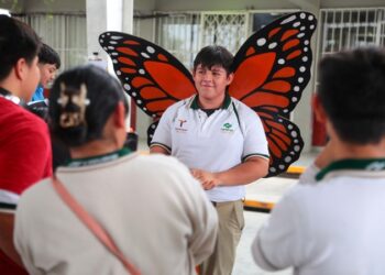 Invita NLD a promover la conservación de la Monarca