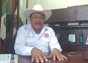 Precios de los granos afectan a campesinos de Tamaulipas