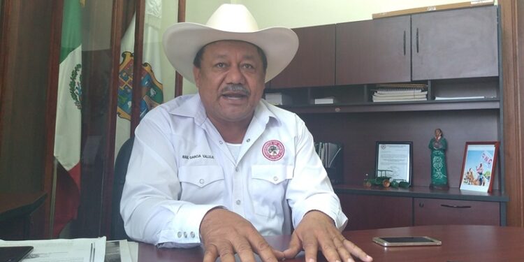 Precios de los granos afectan a campesinos de Tamaulipas