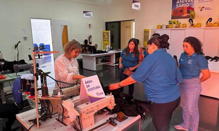 Prepa 3 de la UAT dona 521 trenzas para la fabricación de pelucas oncológicas