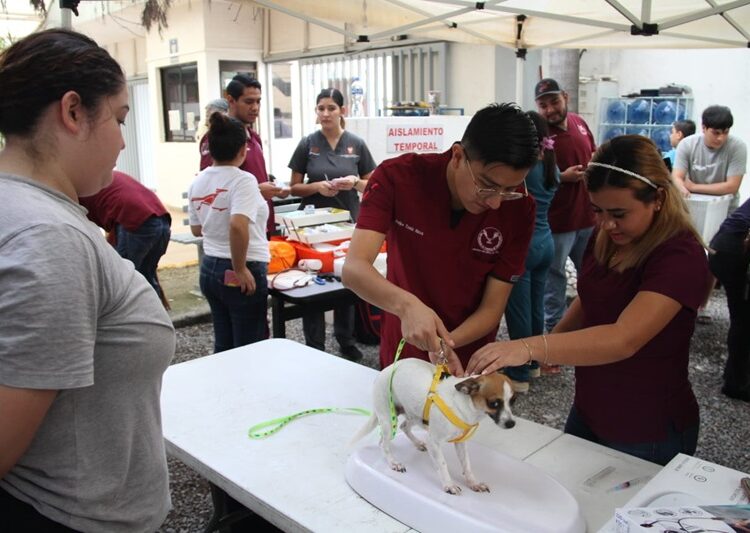 Realiza la UAT brigada comunitaria en el CBTIS 24 de Ciudad Victoria