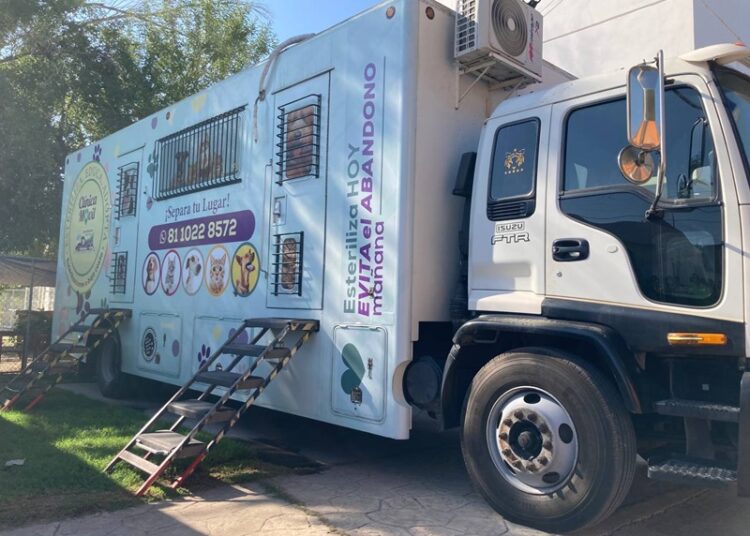 Realizará Gobierno de NLD 11.ª Campaña de Esterilización Felina y Canina