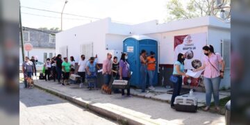 Realizará Gobierno de NLD 11.ª Campaña de Esterilización Felina y Canina