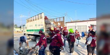 Recolectan más de 16 toneladas de cacharros en la colonia Las Torres