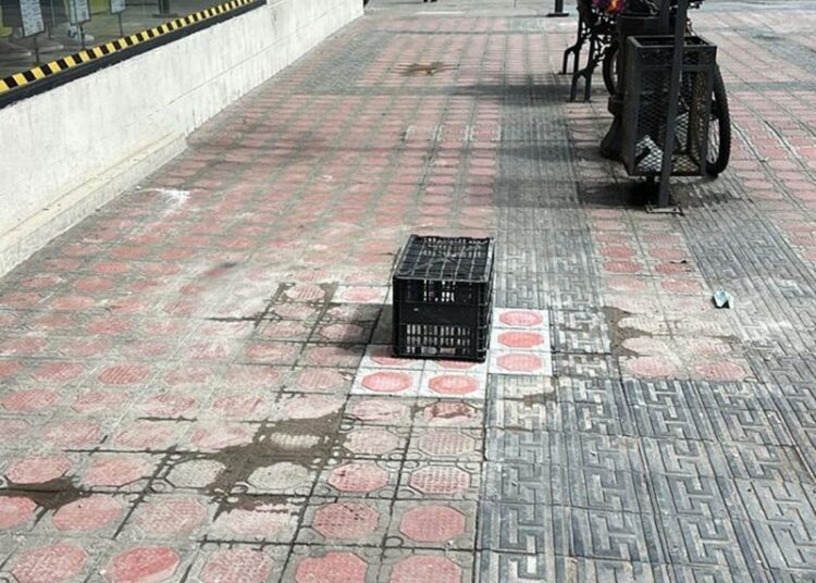 Rehabilitan zonas peatonales en la Zona Centro de Tampico