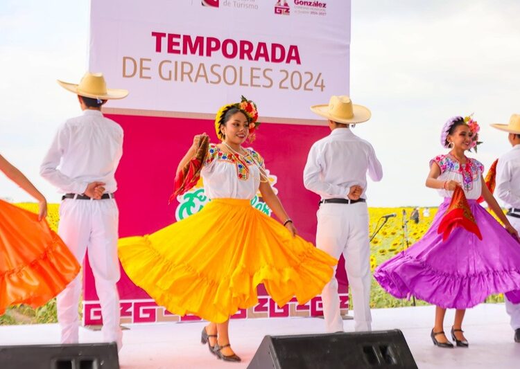Respalda Gobierno de Tamaulipas promoción de campos de girasoles