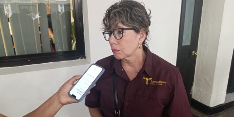 El 10% de la población de Tamaulipas no tiene acceso a la luz eléctrica