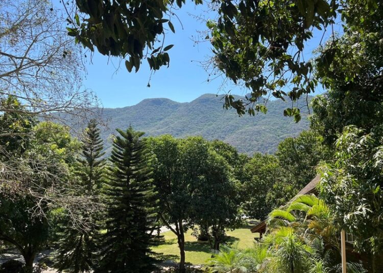 “Deja turismo en Tamaulipas derrama de 11 mmdp”: Sectur