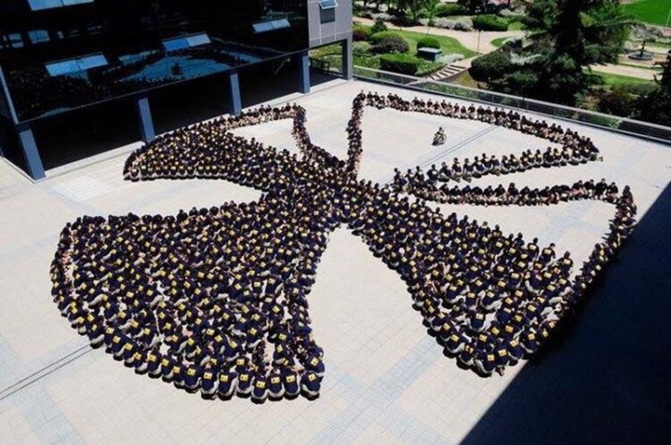 Fundación Teletón Chile, a 46 años de su existencia