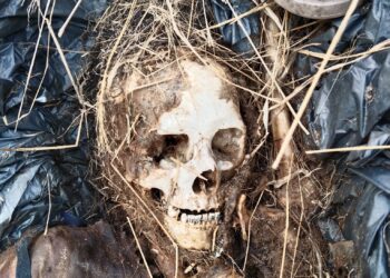 Hallan más restos humanos en Reynosa